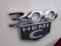 2010 300 C HEMI #8