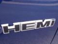 2010 Charger R/T #7