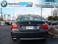 2008 5 Series 528i Sedan #5