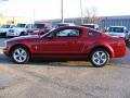 2008 Mustang V6 Premium Coupe #6