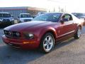 2008 Mustang V6 Premium Coupe #7