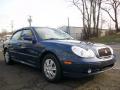 2004 Sonata  #3