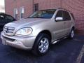 2003 ML 350 4Matic #6