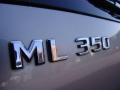 2003 ML 350 4Matic #10