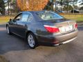 2010 5 Series 528i Sedan #2