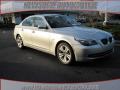 2010 5 Series 528i Sedan #1