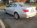 2010 5 Series 528i Sedan #2