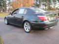 2010 5 Series 528i Sedan #2