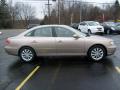 2006 Azera Limited #5