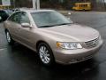 2006 Azera Limited #6