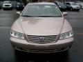2006 Azera Limited #7