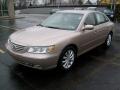 2006 Azera Limited #8