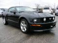 2007 Mustang GT Premium Coupe #1 2007 Mustang GT Premium Coupe #1