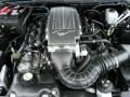 2007 Mustang GT Premium Coupe #27 2007 Mustang GT Premium Coupe #27
