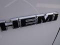 2010 Charger R/T #6 2010 Charger R/T #6