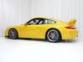 2010 911 GT3 #8