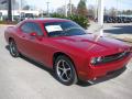 2010 Challenger SE #3