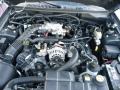 2002 Mustang GT Coupe #11