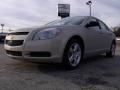 2010 Malibu LS Sedan #1