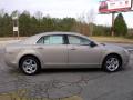 2010 Malibu LS Sedan #6