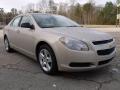 2010 Malibu LS Sedan #7