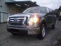 2009 F150 XLT SuperCrew #2