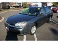2005 Malibu LS V6 Sedan #1