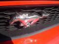 2010 Mustang V6 Coupe #14