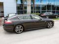 2010 Panamera 4S #7