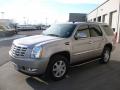 2009 Escalade AWD #3