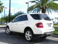 2008 ML 350 4Matic #8