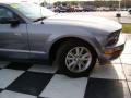 2006 Mustang V6 Deluxe Coupe #22
