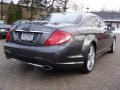 2010 CL 550 4Matic #4 2010 CL 550 4Matic #4