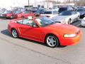 2000 Mustang GT Convertible photo #5