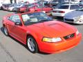 2000 Mustang GT Convertible photo #6