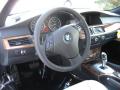 2010 5 Series 535i xDrive Sedan #10