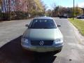 2002 Passat GLS Sedan #5