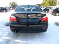 2010 5 Series 528i xDrive Sedan #4