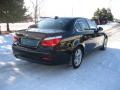 2010 5 Series 528i xDrive Sedan #5