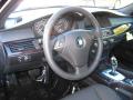 2010 5 Series 528i xDrive Sedan #10