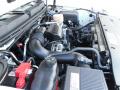 2010 Silverado 1500 Extended Cab #22