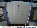 2010 MKZ FWD #19