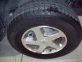 2004 TrailBlazer LT #10