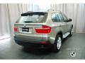 2009 X5 xDrive30i #4