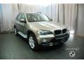 2009 X5 xDrive30i #6