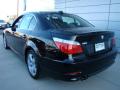 2008 5 Series 528xi Sedan #5