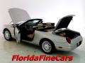 2004 Thunderbird Deluxe Roadster #8
