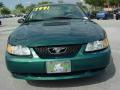 2000 Mustang V6 Coupe #8