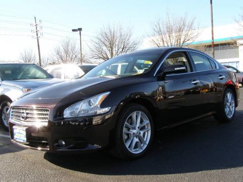 Crimson Black Nissan Maxima 3.5 SV.  Click to enlarge.