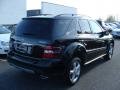2008 ML 350 4Matic #4